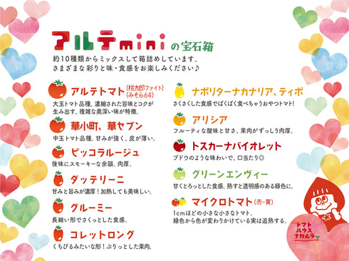 アルテminiの宝石箱☆約10種類のトマトの詰め合わせ