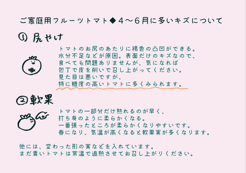 【予約】アルテトマトなかま3kg☆ご家庭用