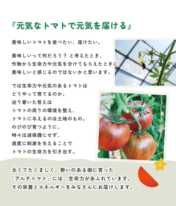 『元気なトマトで元気を届ける』美味しいトマトを食べたい、届けたい。 美味しいって何だろう? と考えたとき、 作物から生命力や元気を分けてもらえたときに 美味しいと感じるのではないかと思います。 では生命力や元気のあるトマトは どうやって育てるのか。 辿り着いた答えは トマトの周りの環境を整え、 トマトに与えるのは土地のもの。 のびのび育つように、 時々は過保護にせず、 適度に刺激を与えることで トマトの生命力を引き出す。 太くてたくましく、勢いのある樹に育った 「アルテトマト」には、生命力があふれています。 その栄養とエネルギーをみなさんにお届けします。