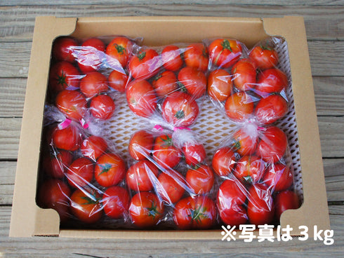 【予約】アルテトマトなかま3kg☆ご家庭用