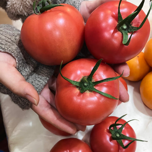 【予約】旨トマト3kg☆ジューシーで旨味あるトマト