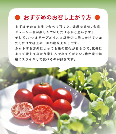 アルテトマト2箱セット☆約800g×2箱