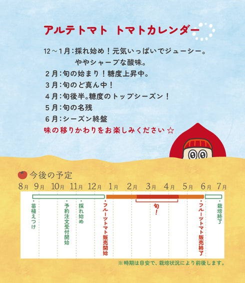 アルテトマト2箱セット☆約800g×2箱