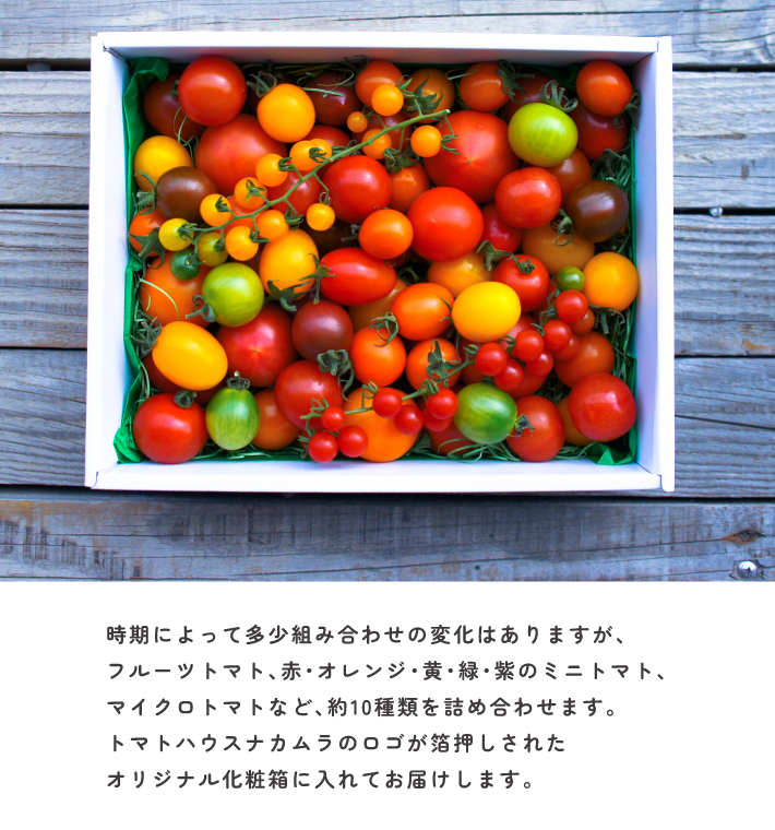 予約】アルテminiの宝石箱☆約10種類のトマトの詰め合わせ　–　トマトハウスナカムラ